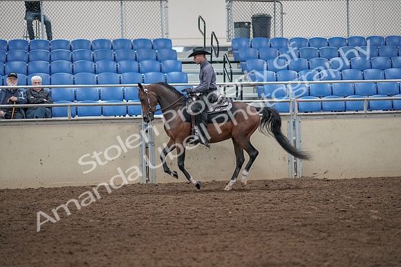 2019 Morgan Horse Show - Aug 31, 2019 - 06105