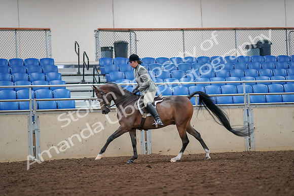2019 Morgan Horse Show - Aug 30, 2019 - 17470