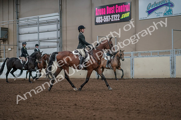 2019 Morgan Horse Show - Aug 31, 2019 - 05183