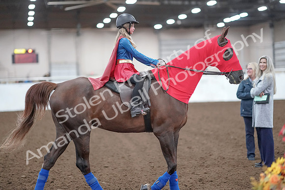 2019 Morgan Horse Show - Aug 31, 2019 - 10013