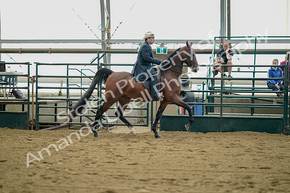 July 21, 2019 - 01732