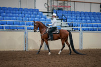 2020 - AB Morgan Horse - Fri, Sept 04 - 03481