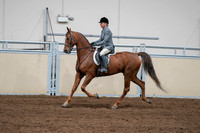 2020 - AB Morgan Horse - Sat, Sept 05 - 03043