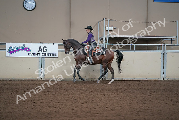 2019 Morgan Horse Show - Aug 31, 2019 - 10590