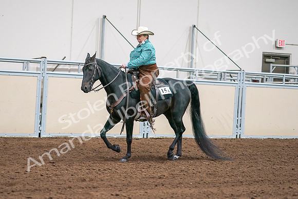 2020 - AB Morgan Horse - Sun, Sept 06 - 01578