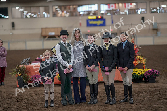 2019 Morgan Horse Show - Aug 31, 2019 - 03920