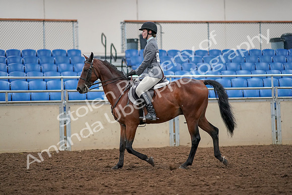 2019 Morgan Horse Show - Aug 30, 2019 - 23207