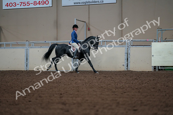 2019 Morgan Horse Show - Aug 30, 2019 - 18608