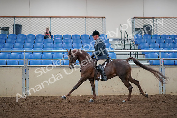 2019 Morgan Horse Show - Aug 30, 2019 - 17487