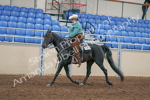 2020 - AB Morgan Horse - Sun, Sept 06 - 01620