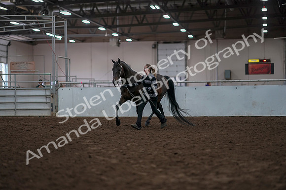 2019 Morgan Horse Show - Aug 31, 2019 - 02927