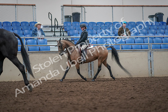 2019 Morgan Horse Show - Aug 31, 2019 - 14909