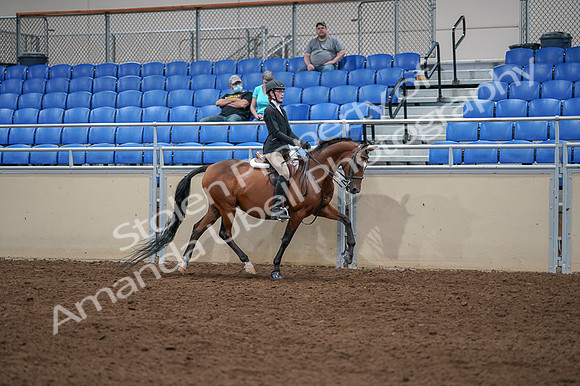 2020 - AB Morgan Horse - Fri, Sept 04 - 06119