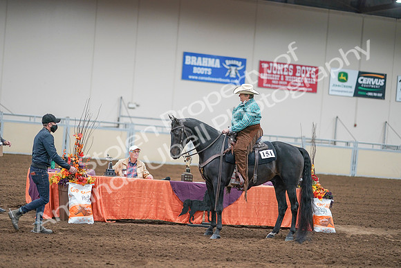 2020 - AB Morgan Horse - Sun, Sept 06 - 01658
