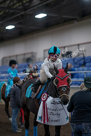 2019 Morgan Horse Show - Aug 31, 2019 - 10159