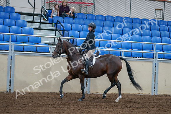 2020 - AB Morgan Horse - Fri, Sept 04 - 01506