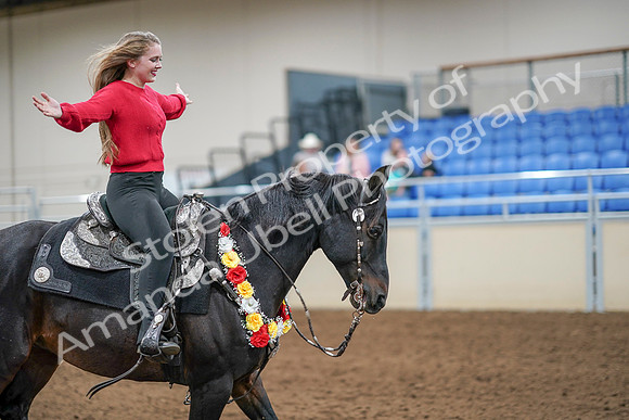 2020 - AB Morgan Horse - Sat, Sept 05 - 10558