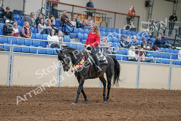 2020 - AB Morgan Horse - Sat, Sept 05 - 10450