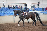 2019 Morgan Horse Show - Aug 31, 2019 - 19392