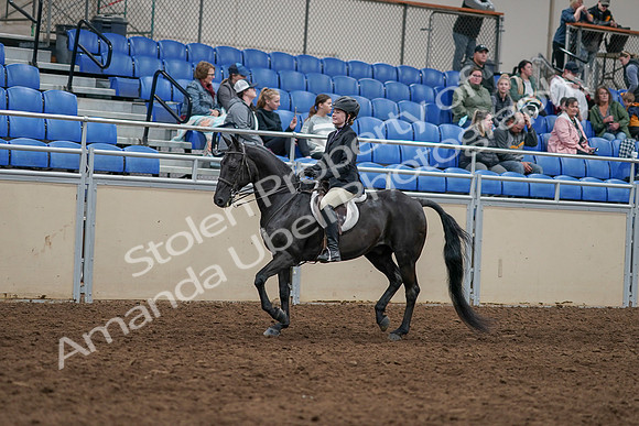 2020 - AB Morgan Horse - Sun, Sept 06 - 07771