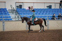 2019 Morgan Horse Show - Aug 30, 2019 - 16711
