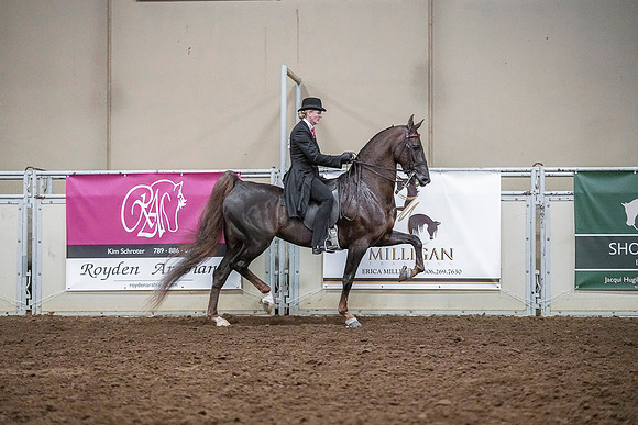 Spring Fling - Saturday - April 20, 2019  -  03609
