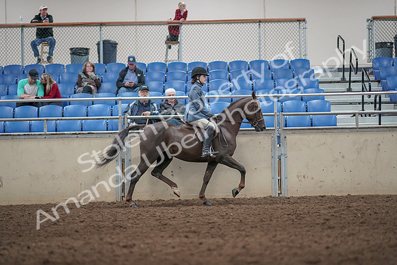 2019 Morgan Horse Show - Aug 31, 2019 - 07416