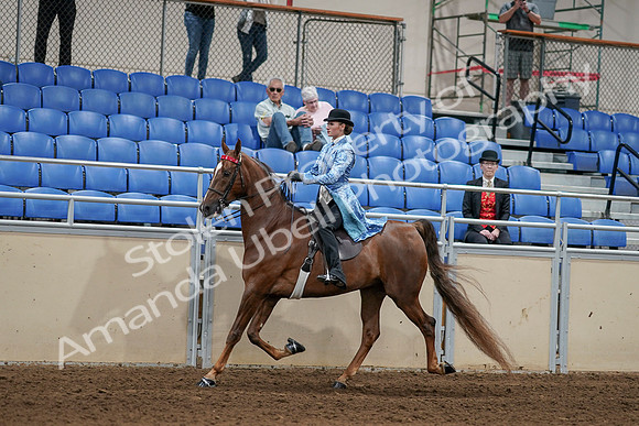 2020 - AB Morgan Horse - Sat, Sept 05 - 06227