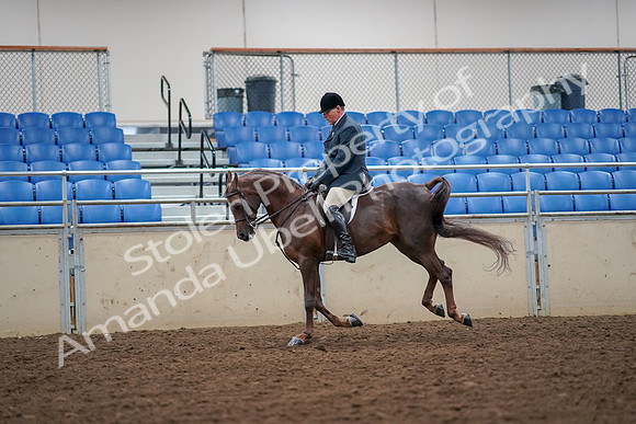 2019 Morgan Horse Show - Aug 30, 2019 - 17427