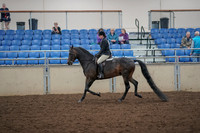 2019 Morgan Horse Show - Aug 30, 2019 - 27193