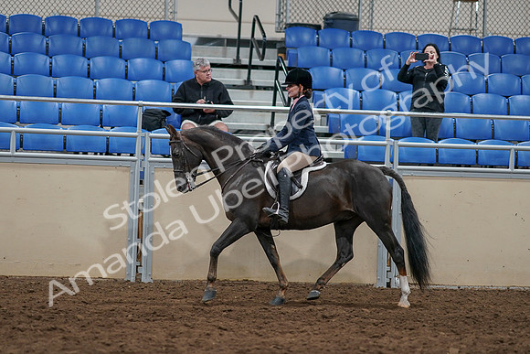2020 - AB Morgan Horse - Sun, Sept 06 - 07753