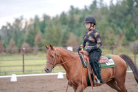 2019 Morgan Horse Show - Aug 30, 2019 - 00209