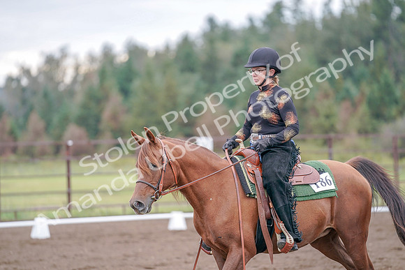 2019 Morgan Horse Show - Aug 30, 2019 - 00209