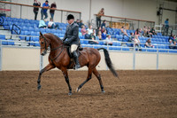 2020 - AB Morgan Horse - Sat, Sept 05 - 06868
