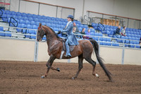 2020 - AB Morgan Horse - Sun, Sept 06 - 00020