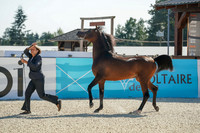 2024 - WCB - July 19 - 03613