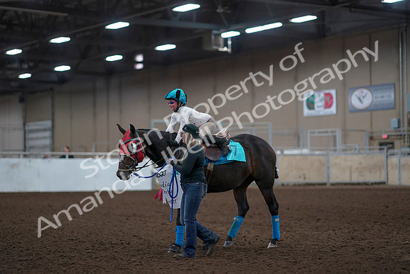 2019 Morgan Horse Show - Aug 31, 2019 - 10102