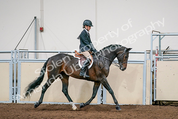 2020 - AB Morgan Horse - Sun, Sept 06 - 08089