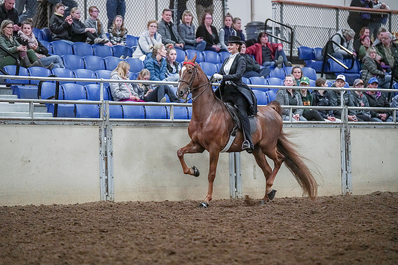 Spring Fling - Saturday - April 20, 2019  -  04364