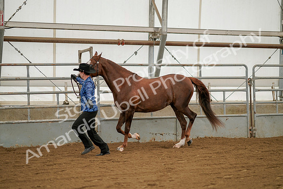 July 19, 2019 - 1279