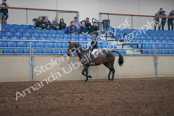 2019 Morgan Horse Show - Aug 31, 2019 - 20413