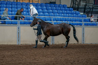 2020 - AB Morgan Horse - Fri, Sept 04 - 00737