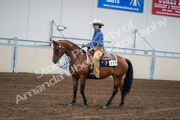 2020 - AB Morgan Horse - Fri, Sept 04 - 00153