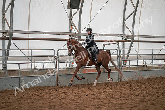 July 19, 2019 - 13141