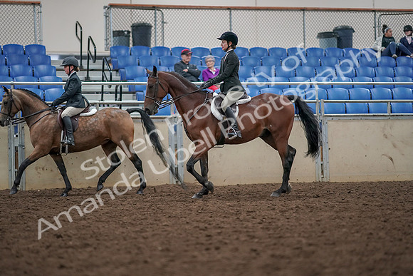 2019 Morgan Horse Show - Aug 30, 2019 - 20462