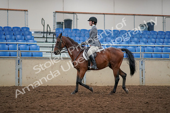 2019 Morgan Horse Show - Aug 30, 2019 - 23365