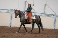 2020 - AB Morgan Horse - Sun, Sept 06 - 01554