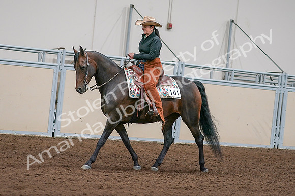 2020 - AB Morgan Horse - Sun, Sept 06 - 01554