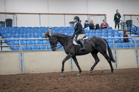 2019 Morgan Horse Show - Aug 31, 2019 - 14635