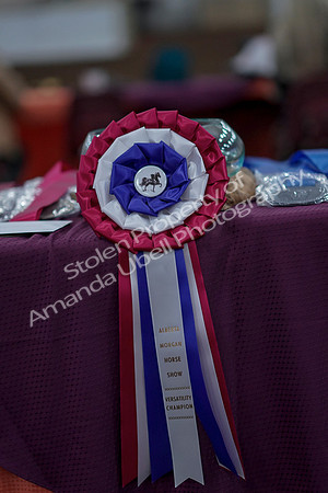 2019 Morgan Horse Show - Sept 01, 2019 - 00002